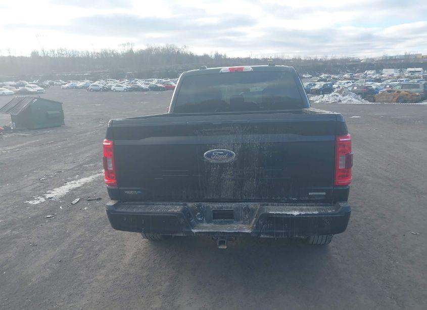 Photo 16 of 2021 Ford F-150 XLT (VIN 1FTEW1EP6MFD03349)