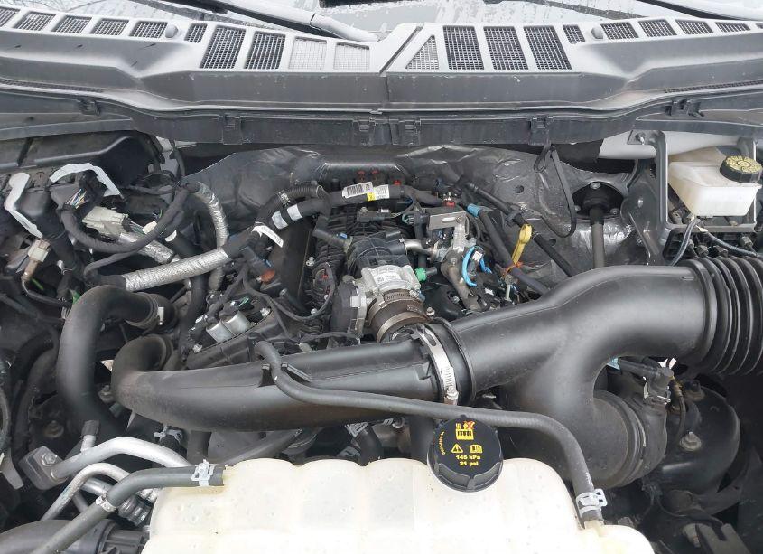 Photo 10 of 2023 Ford F-150 XLT (VIN 1FTEW1EP6PKF08066)