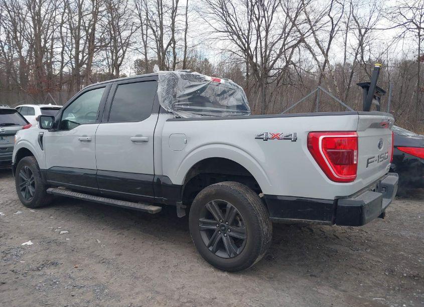 Photo 14 of 2023 Ford F-150 XLT (VIN 1FTEW1EP6PKF08066)