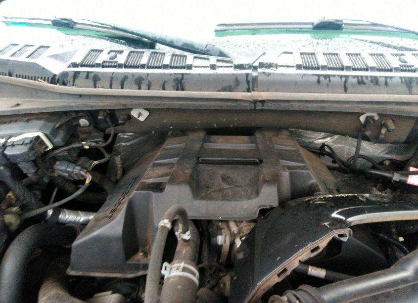 Photo 10 of 2015 Ford F-150 XLT (VIN 1FTEW1EP7FFA65868)