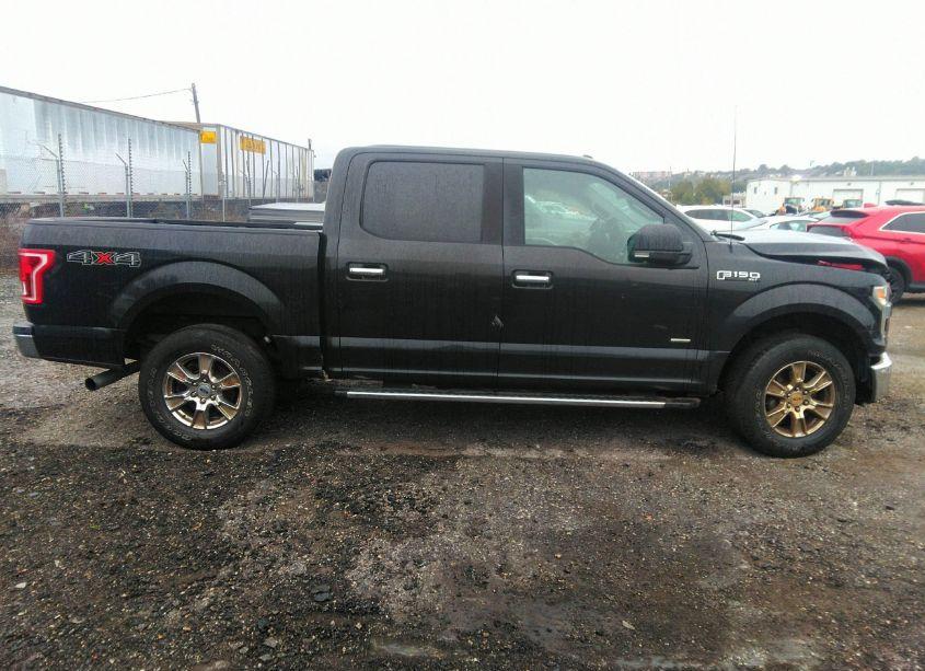 Photo 13 of 2015 Ford F-150 XLT (VIN 1FTEW1EP7FFA65868)