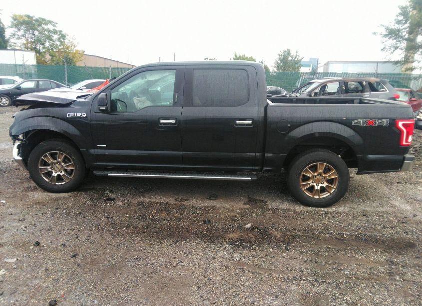 Photo 14 of 2015 Ford F-150 XLT (VIN 1FTEW1EP7FFA65868)
