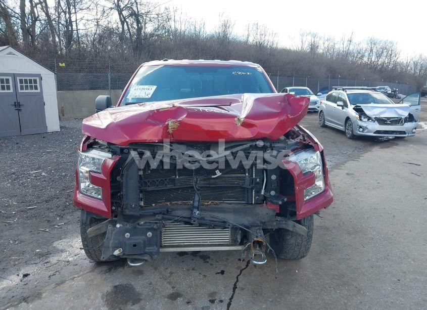 Photo 12 of 2016 Ford F-150 XLT (VIN 1FTEW1EP7GKE90631)