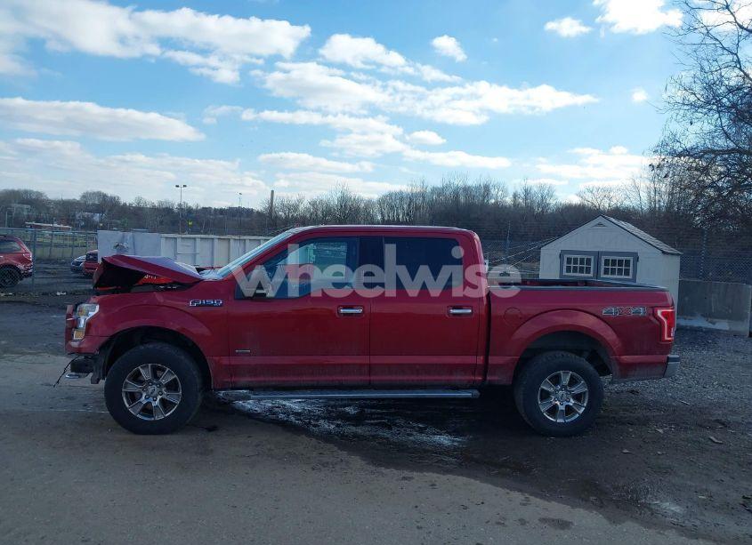 Photo 14 of 2016 Ford F-150 XLT (VIN 1FTEW1EP7GKE90631)