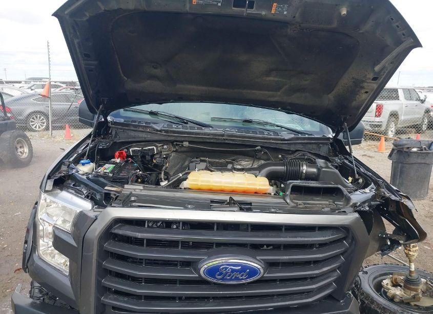 Photo 10 of 2016 Ford F-150 XLT (VIN 1FTEW1EP7GKF48527)