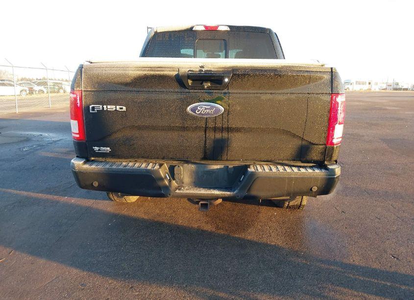 Photo 15 of 2016 Ford F-150 XLT (VIN 1FTEW1EP7GKG00240)