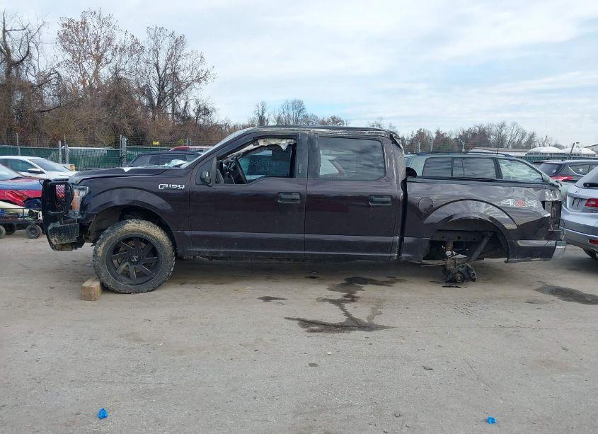 Photo 15 of 2019 Ford F-150 XLT (VIN 1FTEW1EP7KFA57022)