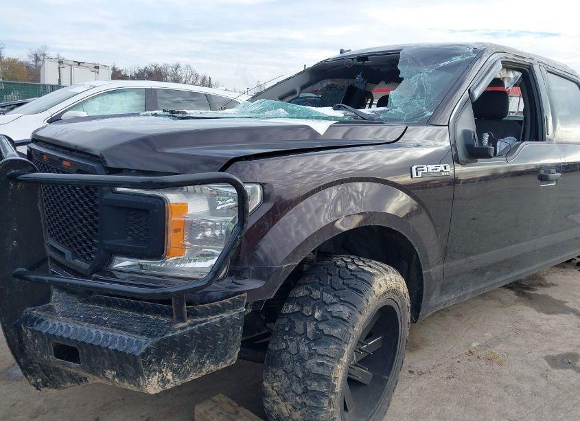 Photo 22 of 2019 Ford F-150 XLT (VIN 1FTEW1EP7KFA57022)