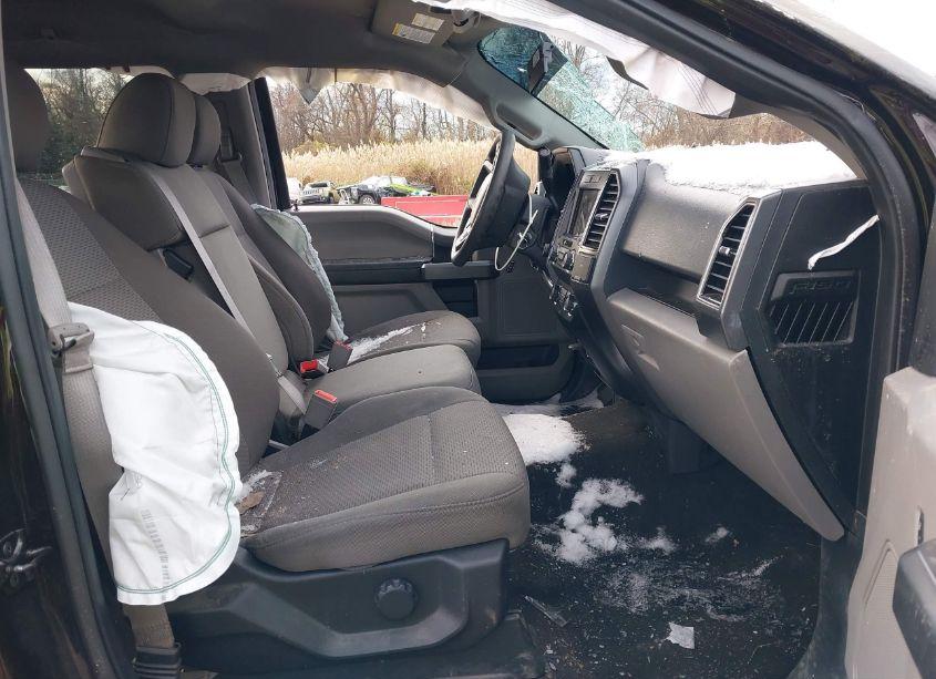 Photo 5 of 2019 Ford F-150 XLT (VIN 1FTEW1EP7KFA57022)