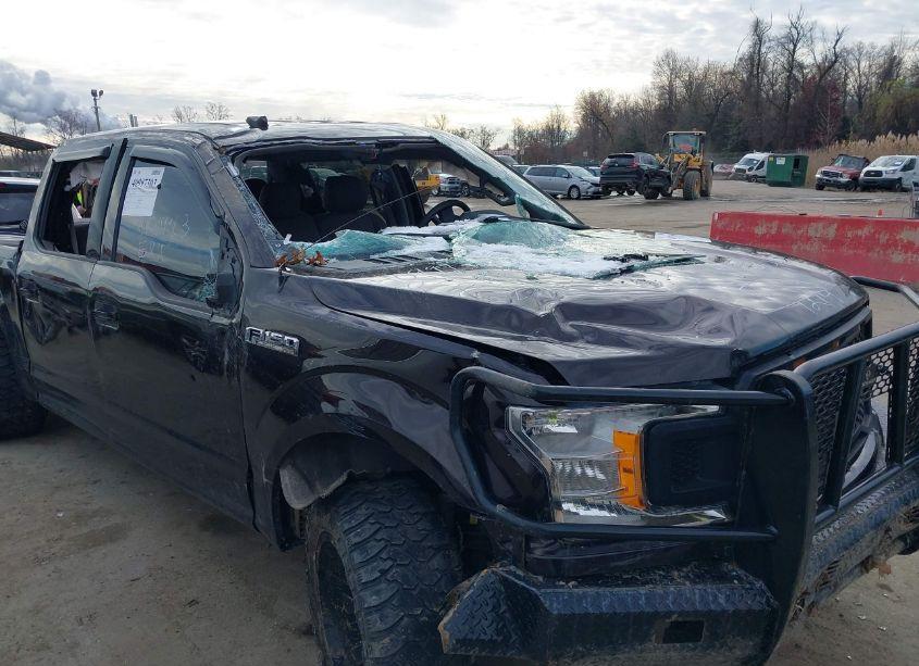 Photo 6 of 2019 Ford F-150 XLT (VIN 1FTEW1EP7KFA57022)