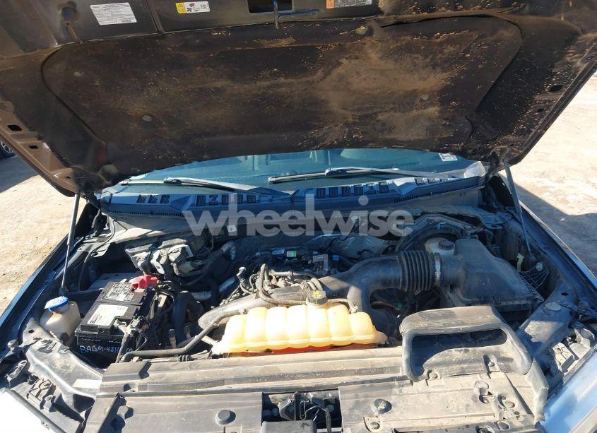 Photo 10 of 2019 Ford F-150 XLT (VIN 1FTEW1EP7KKC33414)