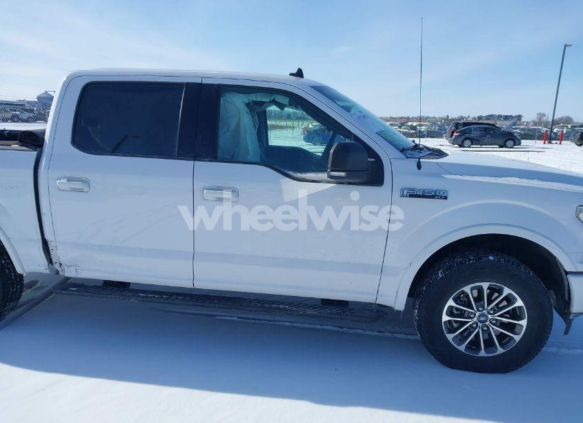 Photo 13 of 2019 Ford F-150 XLT (VIN 1FTEW1EP7KKE49716)