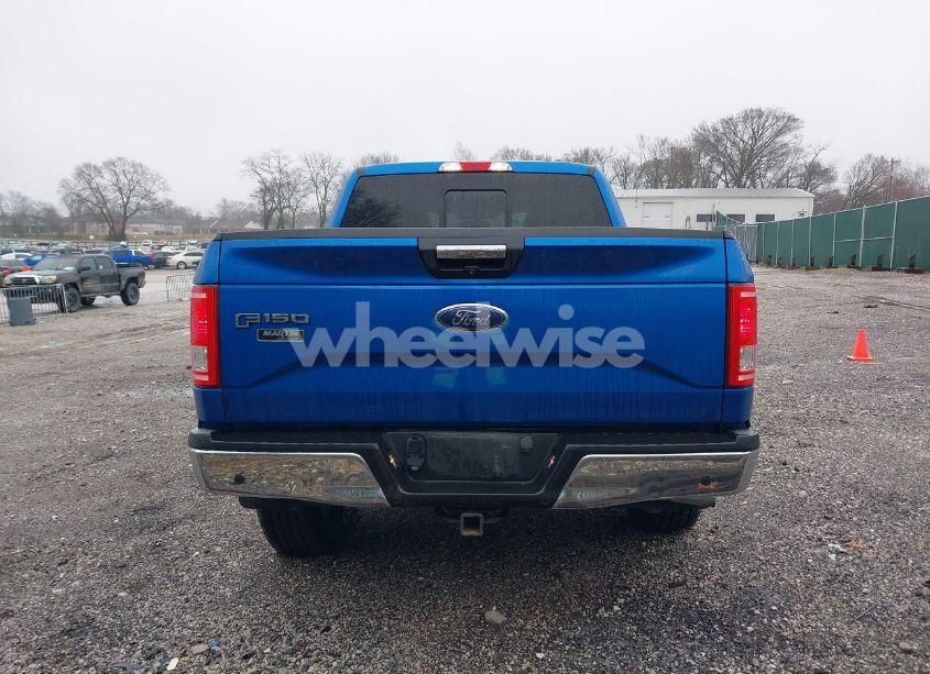 Photo 17 of 2016 Ford F-150 XLT (VIN 1FTEW1EP8GKE41230)