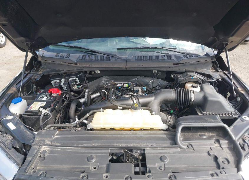 Photo 10 of 2019 Ford F-150 XLT (VIN 1FTEW1EP8KFD07027)