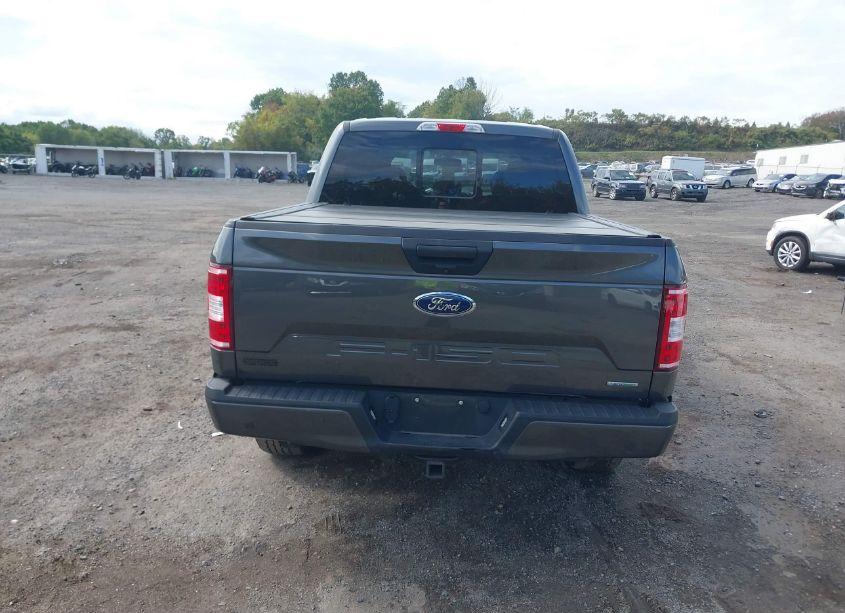 Photo 16 of 2019 Ford F-150 XLT (VIN 1FTEW1EP8KFD07027)