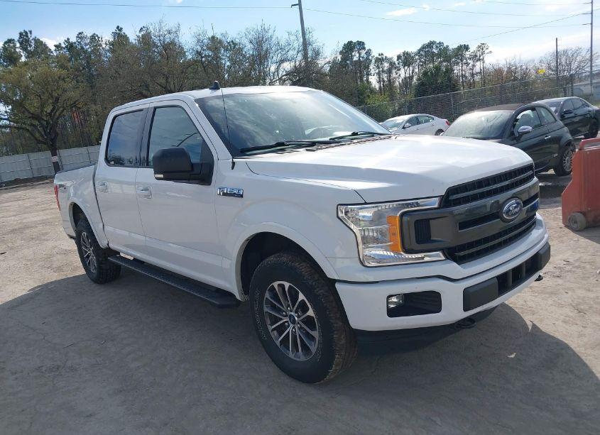 2019 Ford F-150 XLT (VIN 1FTEW1EP8KFD51982) main photo