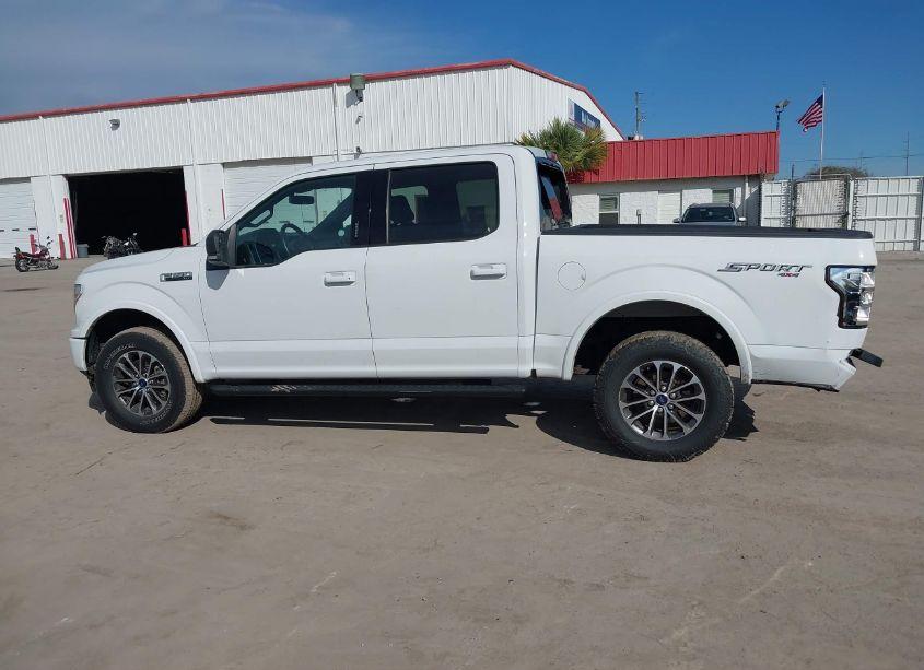 Photo 14 of 2019 Ford F-150 XLT (VIN 1FTEW1EP8KFD51982)