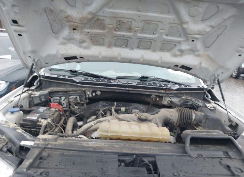 Photo 10 of 2019 Ford F-150 XL (VIN 1FTEW1EP8KKE51085)