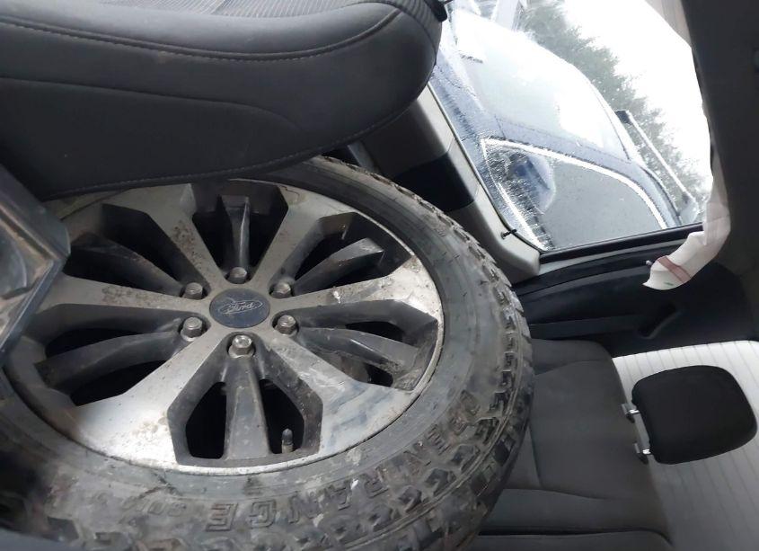 Photo 12 of 2019 Ford F-150 XL (VIN 1FTEW1EP8KKE51085)