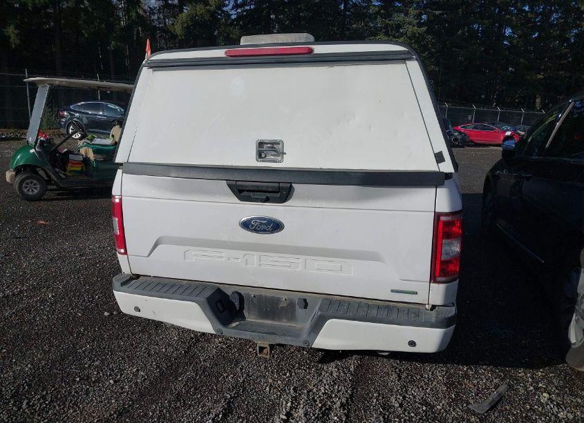 Photo 17 of 2019 Ford F-150 XL (VIN 1FTEW1EP8KKE51085)