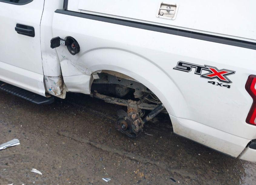 Photo 18 of 2019 Ford F-150 XL (VIN 1FTEW1EP8KKE51085)