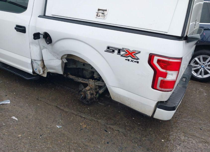 Photo 21 of 2019 Ford F-150 XL (VIN 1FTEW1EP8KKE51085)