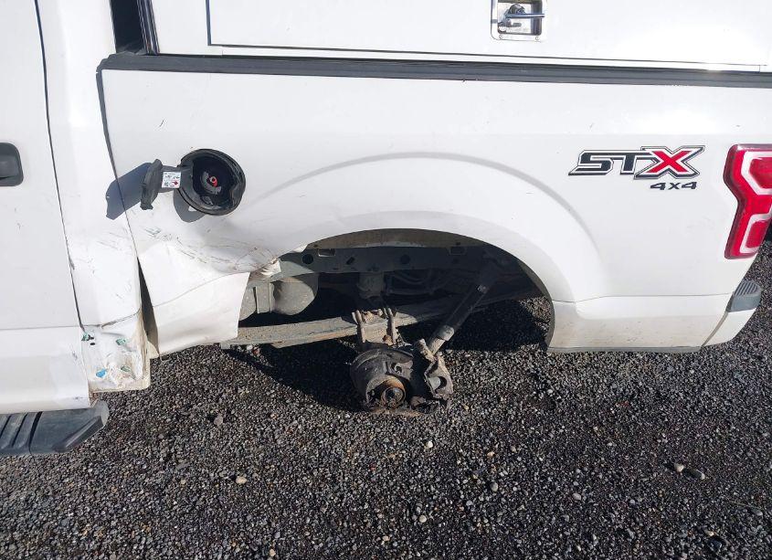 Photo 6 of 2019 Ford F-150 XL (VIN 1FTEW1EP8KKE51085)