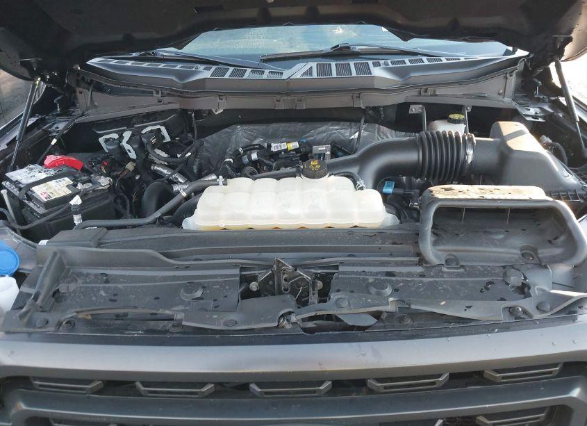 Photo 10 of 2021 Ford F-150 XLT (VIN 1FTEW1EP8MFB76698)