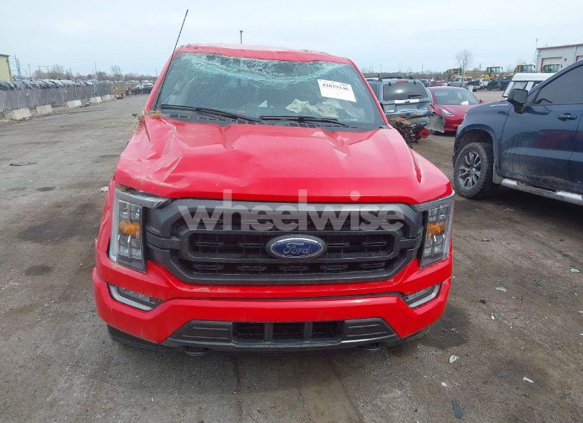 Photo 12 of 2023 Ford F-150 XLT (VIN 1FTEW1EP8PKE26775)