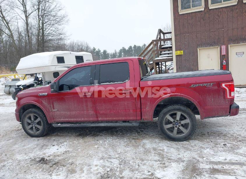 Photo 14 of 2016 Ford F-150 XLT (VIN 1FTEW1EP9GFA66036)