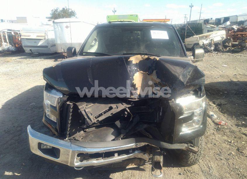 Photo 12 of 2016 Ford F-150 XLT (VIN 1FTEW1EP9GKD41783)