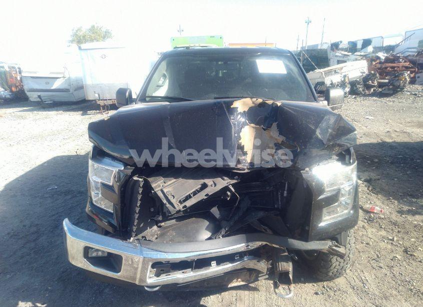 Photo 13 of 2016 Ford F-150 XLT (VIN 1FTEW1EP9GKD41783)