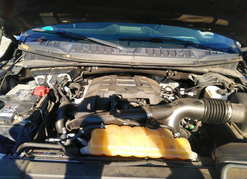 Photo 10 of 2018 Ford F-150 XLT (VIN 1FTEW1EP9JFE09693)