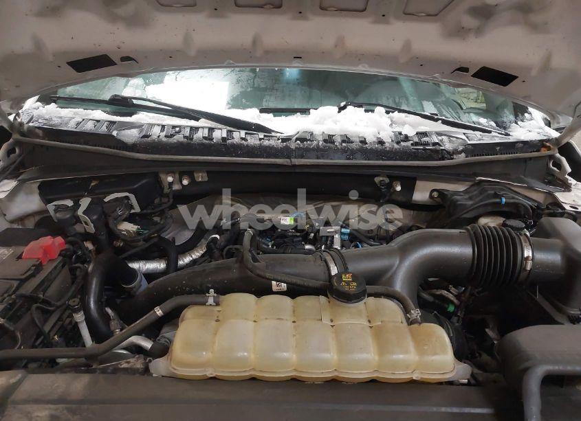 Photo 10 of 2019 Ford F-150 XL (VIN 1FTEW1EP9KFC21919)