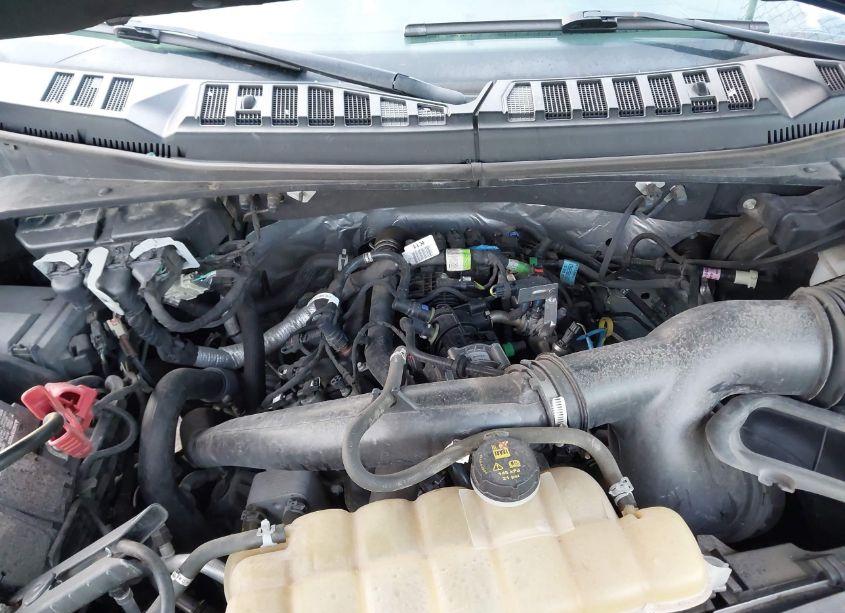 Photo 10 of 2019 Ford F-150 XLT (VIN 1FTEW1EP9KFC43502)