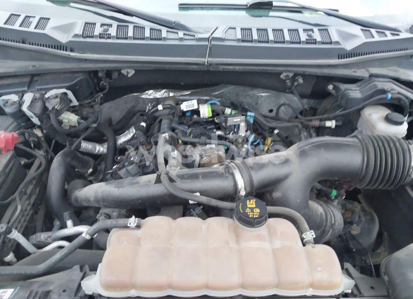 Photo 10 of 2019 Ford F-150 XLT (VIN 1FTEW1EP9KFD24936)