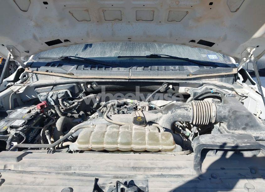 Photo 10 of 2019 Ford F-150 XL (VIN 1FTEW1EP9KKD25205)