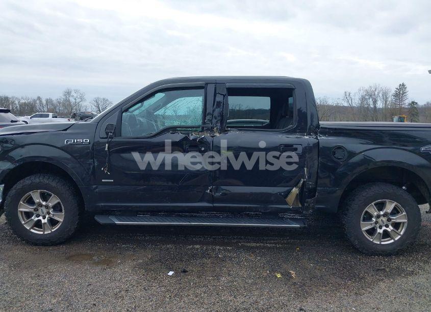 Photo 15 of 2015 Ford F-150 XLT (VIN 1FTEW1EPXFFC20641)