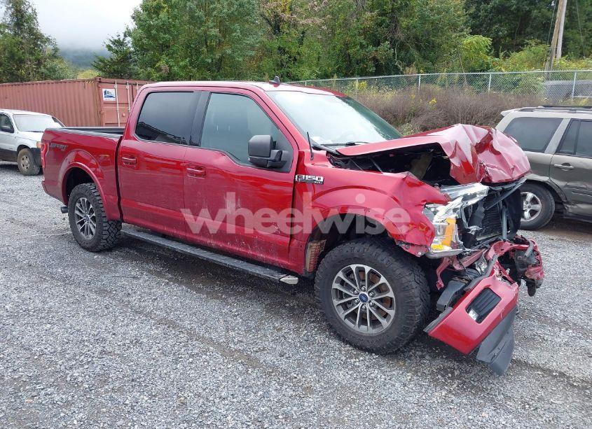 2019 Ford F-150 XLT (VIN 1FTEW1EPXKFB15673) main photo