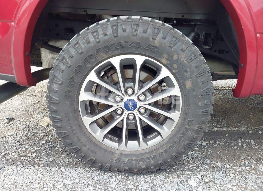 Photo 12 of 2019 Ford F-150 XLT (VIN 1FTEW1EPXKFB15673)