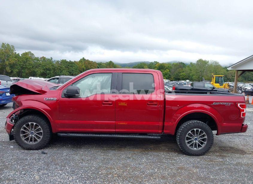 Photo 15 of 2019 Ford F-150 XLT (VIN 1FTEW1EPXKFB15673)