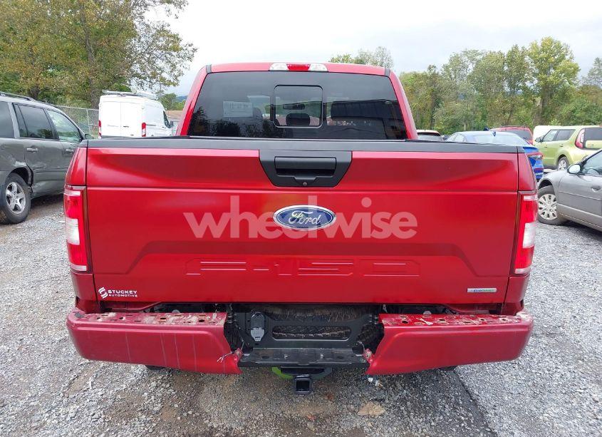Photo 17 of 2019 Ford F-150 XLT (VIN 1FTEW1EPXKFB15673)