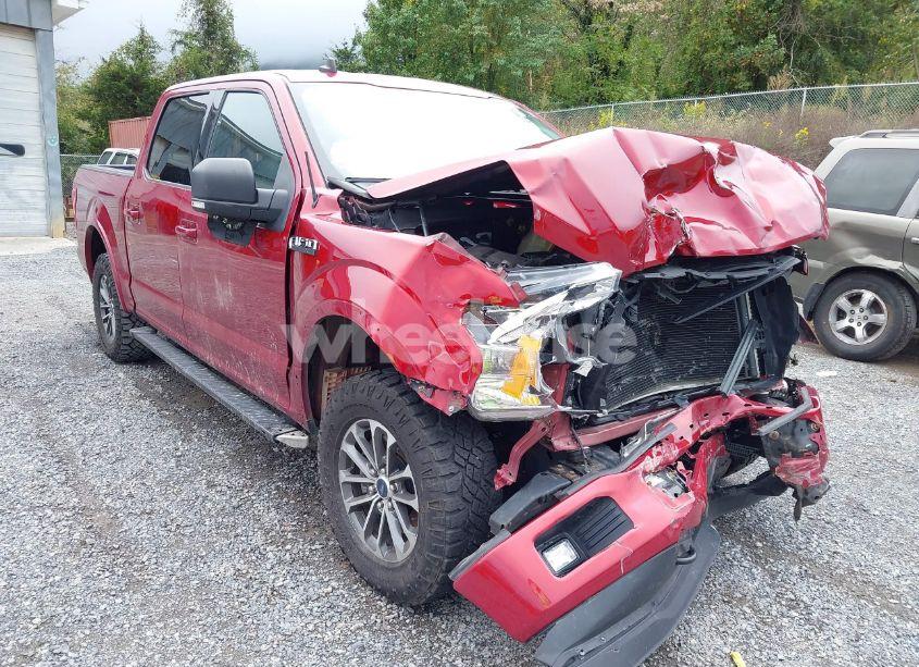 Photo 6 of 2019 Ford F-150 XLT (VIN 1FTEW1EPXKFB15673)