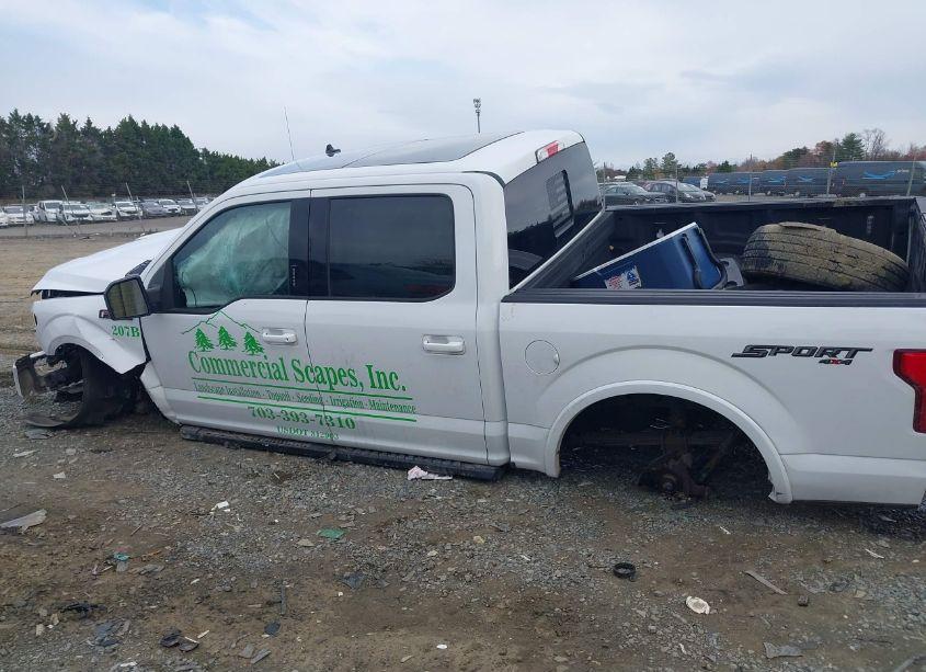 Photo 15 of 2019 Ford F-150 XLT (VIN 1FTEW1EPXKFC51897)