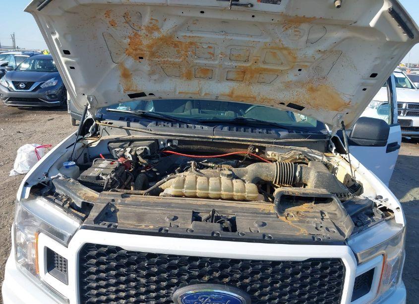 Photo 10 of 2019 Ford F-150 XL (VIN 1FTEW1EPXKKD96512)