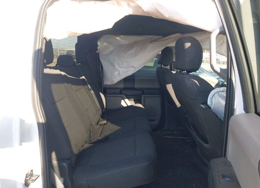 Photo 8 of 2019 Ford F-150 XL (VIN 1FTEW1EPXKKD96512)