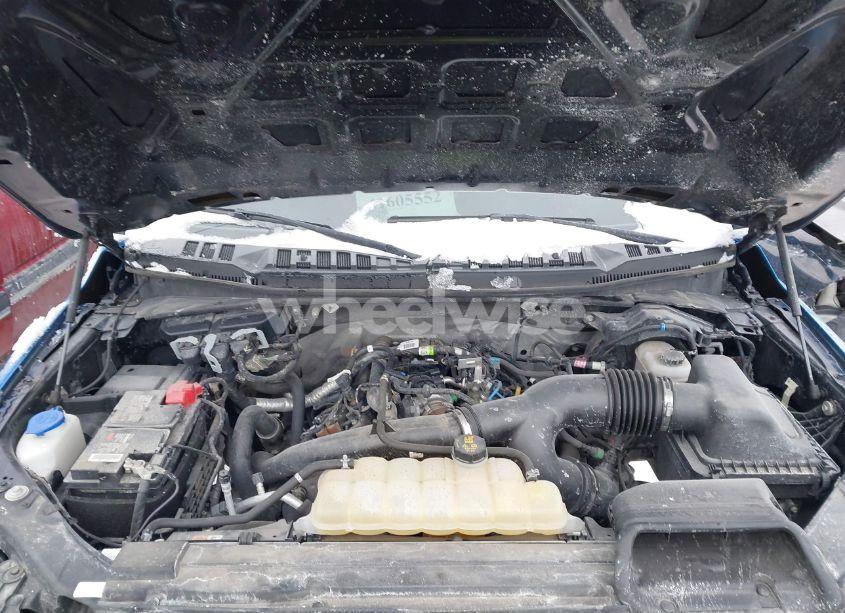 Photo 10 of 2019 Ford F-150 XL (VIN 1FTEW1EPXKKF11965)