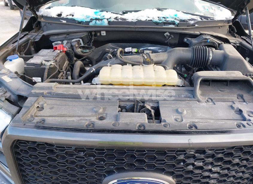 Photo 10 of 2020 Ford F-150 XL (VIN 1FTEW1EPXLFA61194)