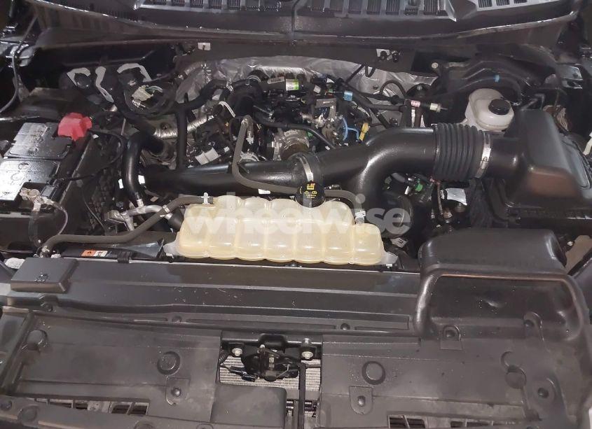 Photo 10 of 2020 Ford F-150 XLT (VIN 1FTEW1EPXLKF35054)