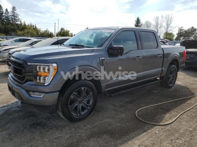 2023 FORD F150 SUPERCREW (VIN 1FTEW1EPXPKF51731) main photo